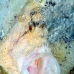 leaffish_white_han_baa_v_0026_mal0330.jpg